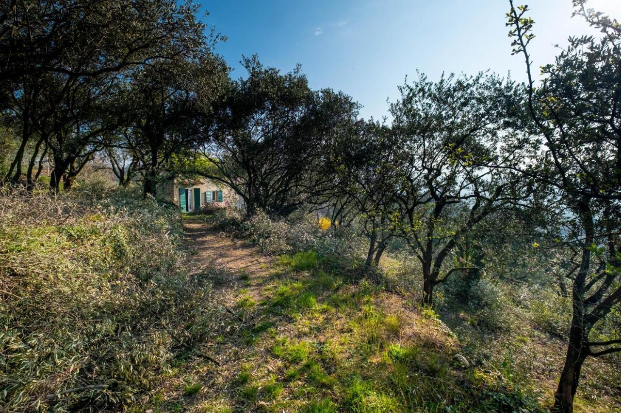 Вилла Ca Del Vajo Valpolicella House Неграр Экстерьер фото
