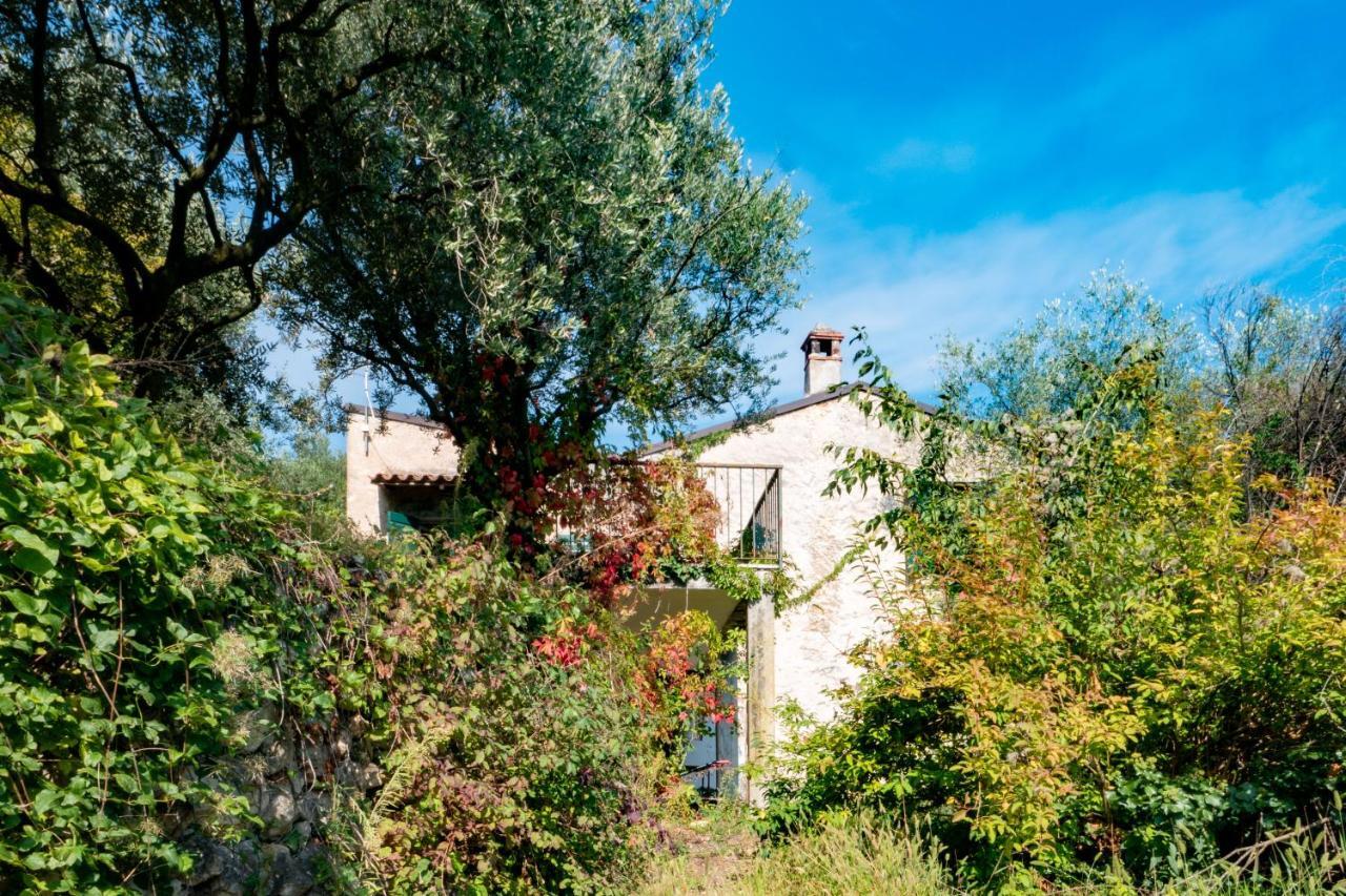 Вилла Ca Del Vajo Valpolicella House Неграр Экстерьер фото
