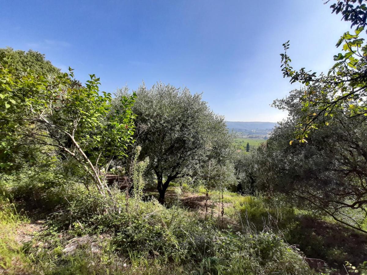 Вилла Ca Del Vajo Valpolicella House Неграр Экстерьер фото