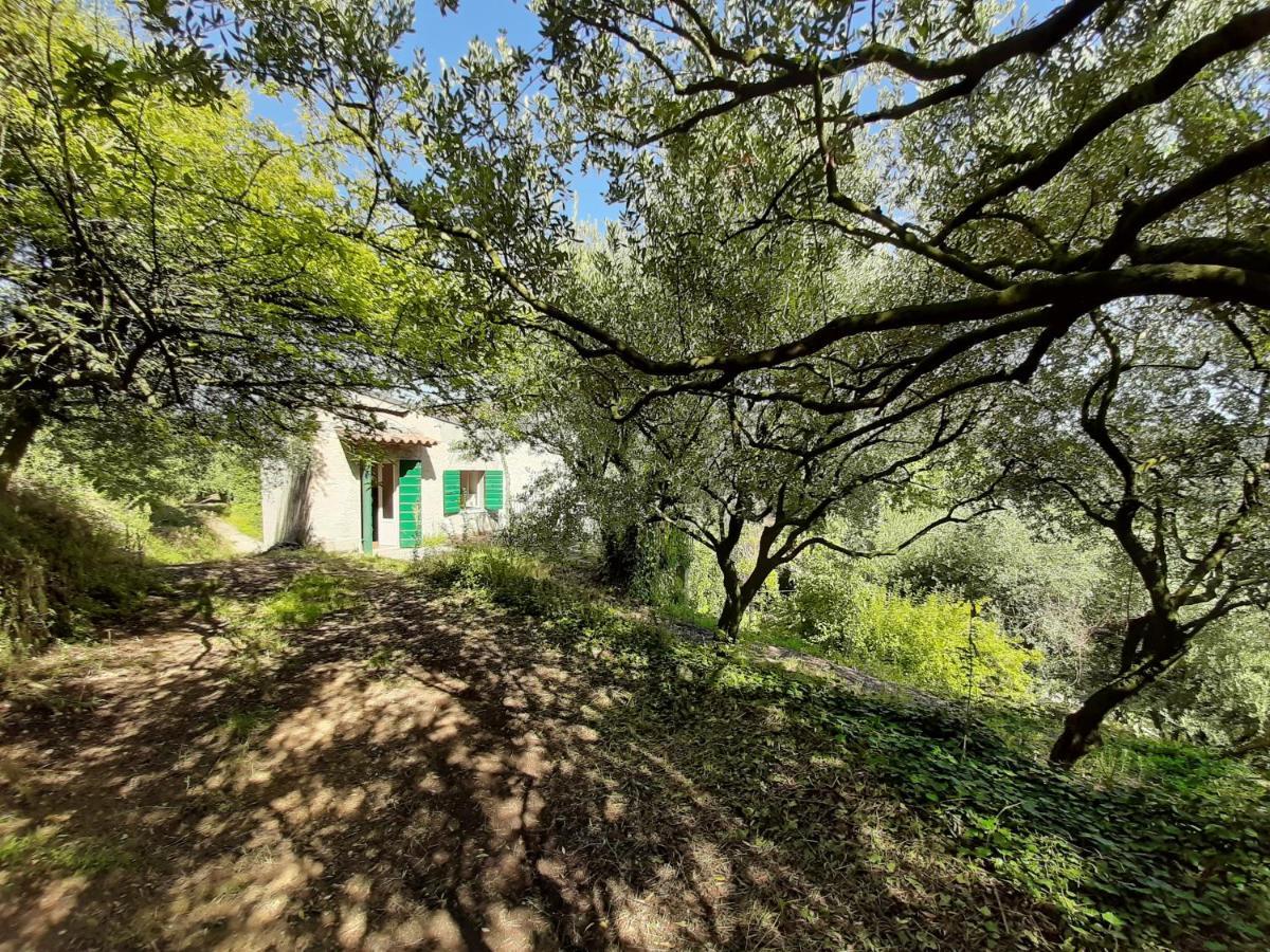 Вилла Ca Del Vajo Valpolicella House Неграр Экстерьер фото