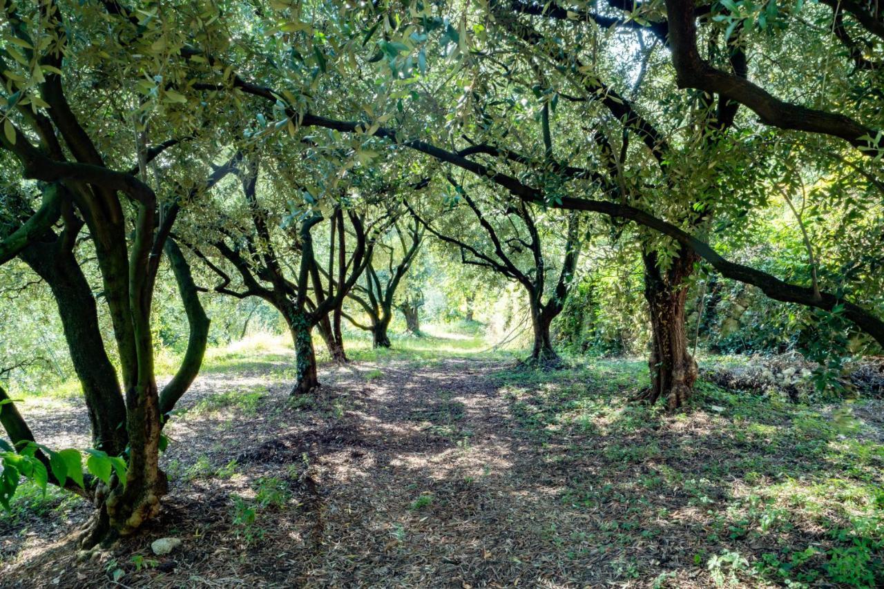 Вилла Ca Del Vajo Valpolicella House Неграр Экстерьер фото